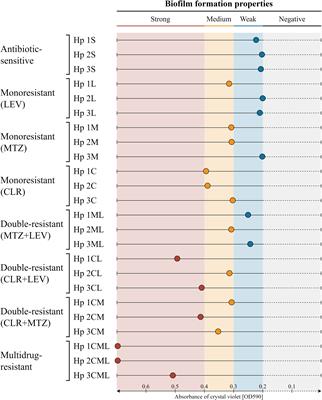 Biofilm Formation of Helicobacter pylori in Both Static and Microfluidic Conditions Is Associated With Resistance to Clarithromycin